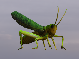 Grasshopper Animated 3D Модель