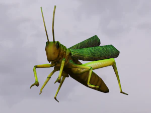 Grasshopper Animated 3D Model