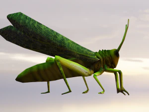 Grasshopper Animated 3D Model