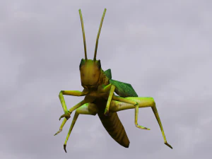 Grasshopper Animated 3D Model