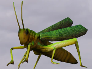 Grasshopper Animated 3D Model