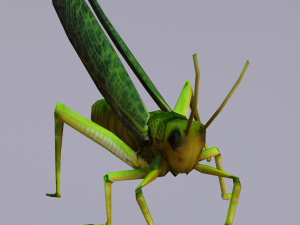 Grasshopper Animated 3D Модель