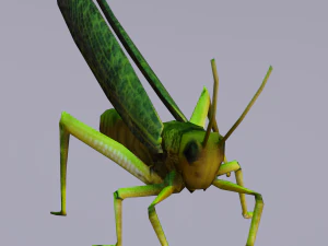 Grasshopper Animated 3D Model