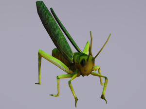 Grasshopper Animated 3D Модель