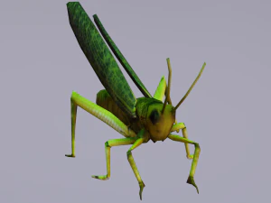 Grasshopper Animated 3D Model