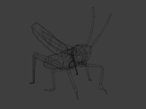 Grasshopper Animated 3D Модель