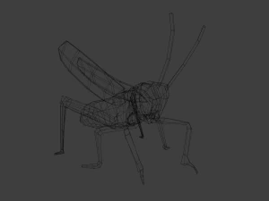 Grasshopper Animated 3D Model
