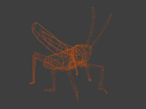Grasshopper Animated 3D Model