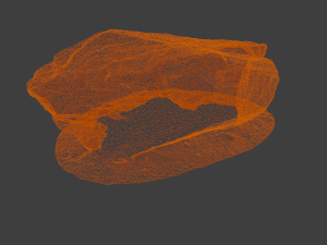 Rock 3D-Modell