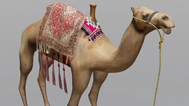 Wielbłąd Model 3D .c4d .max .obj .3ds .fbx .stl .blend