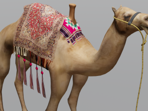 Camel 3D-Modell