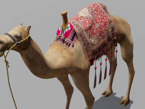Camel 3D Model