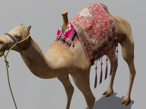 Wielbłąd Model 3D