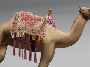 Camel 3D Model