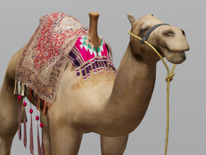 Camel 3D Model
