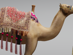 Camel 3D Model