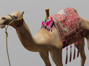 Camel 3D Model