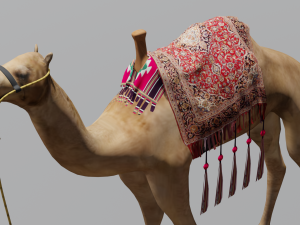 Camel 3D Model