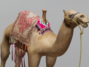 Camel 3D Model