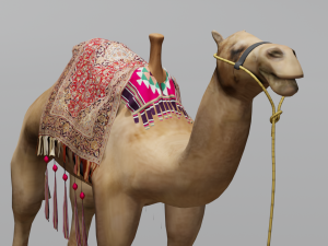 Camel 3D Model