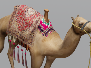 Camel 3D Model