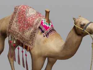 Wielbłąd Model 3D