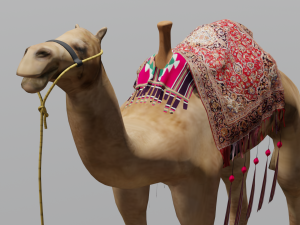 Camel 3D Model