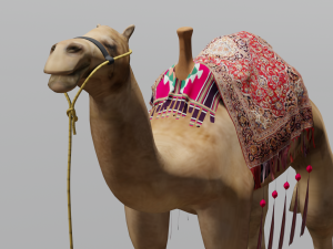 Camel 3D Model