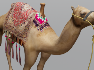 Camel 3D Model
