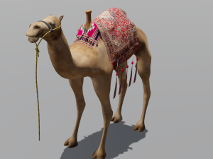 Camel 3D Model