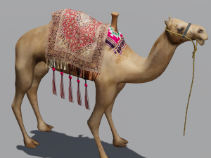 Camel 3D Model