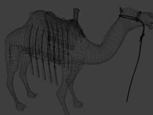 Wielbłąd Model 3D