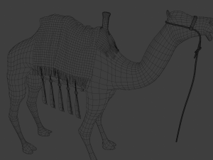 Camel 3D Model