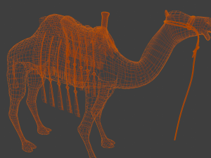 Camel 3D Model