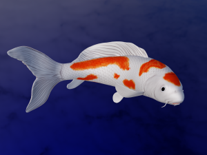 Koi Fish 3D Model