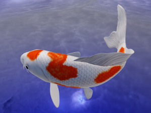 Koi Fish 3D Model