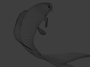 Koi Fish 3D Model
