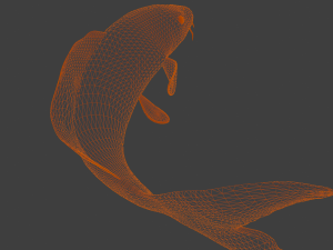 Koi Fish 3D Model