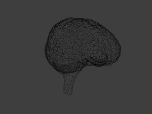 C&eacute;rebro Modelo 3D