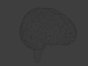 Brain Modelo 3D
