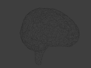 C&eacute;rebro Modelo 3D
