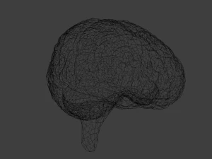 C&eacute;rebro Modelo 3D