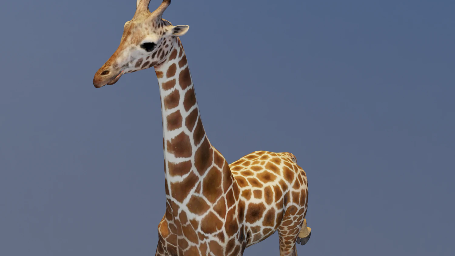 Giraffe Animated 3D Model .c4d .max .obj .3ds .fbx .stl .blend 
