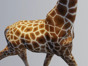 Giraffe Animated 3D Model