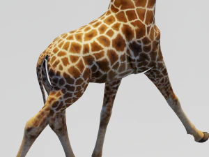 Giraffe Animated 3D Model