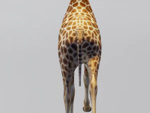 Giraffe Animated 3D Model