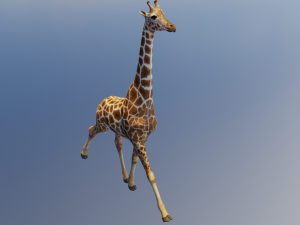 Giraffe Animated 3D 模型