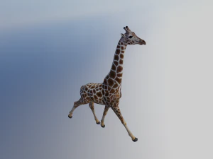 Giraffe Animated 3D Model