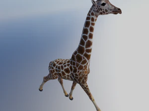 Giraffe Animated 3D Model