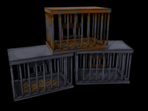Cage 3D Model